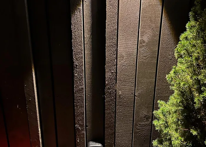 Ariana Βίλα Κουρεσάαρε